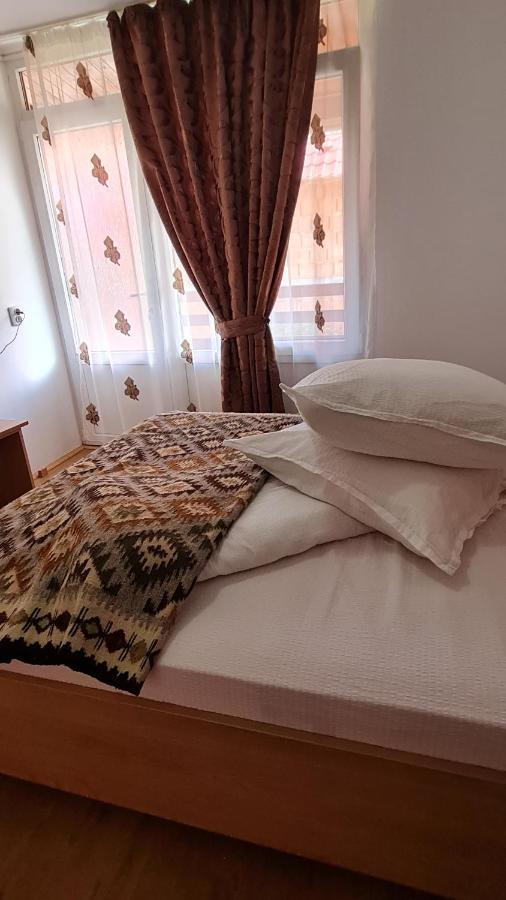 Pensiunea Montana Sapinta Ngoại thất bức ảnh